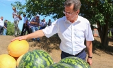 В ответ на санкции – увеличение объёмов сельхозпродукции