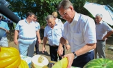 В ответ на санкции – увеличение объёмов сельхозпродукции